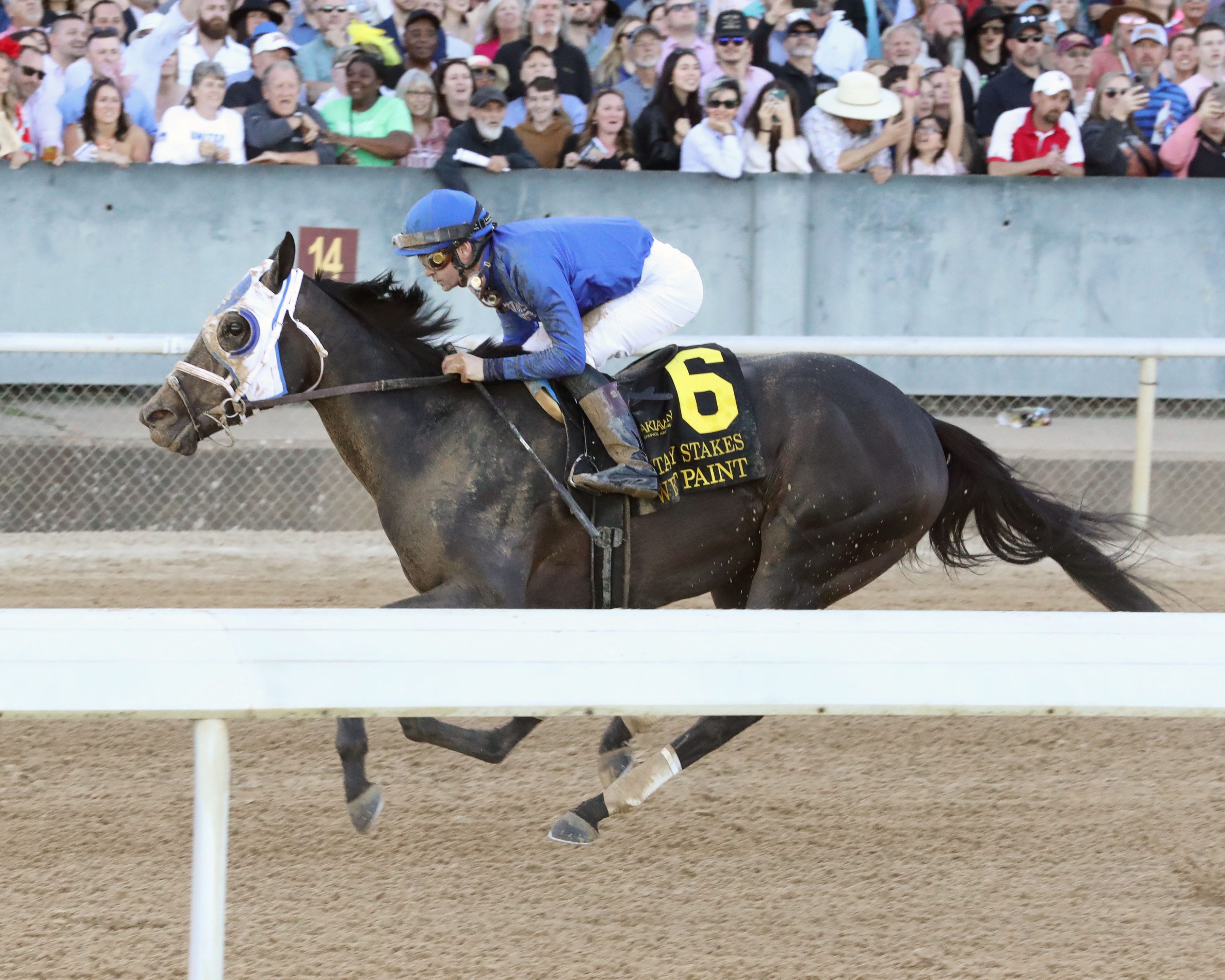 Wet Paint says she's a Kentucky Oaks contender with Fantasy Stakes victory